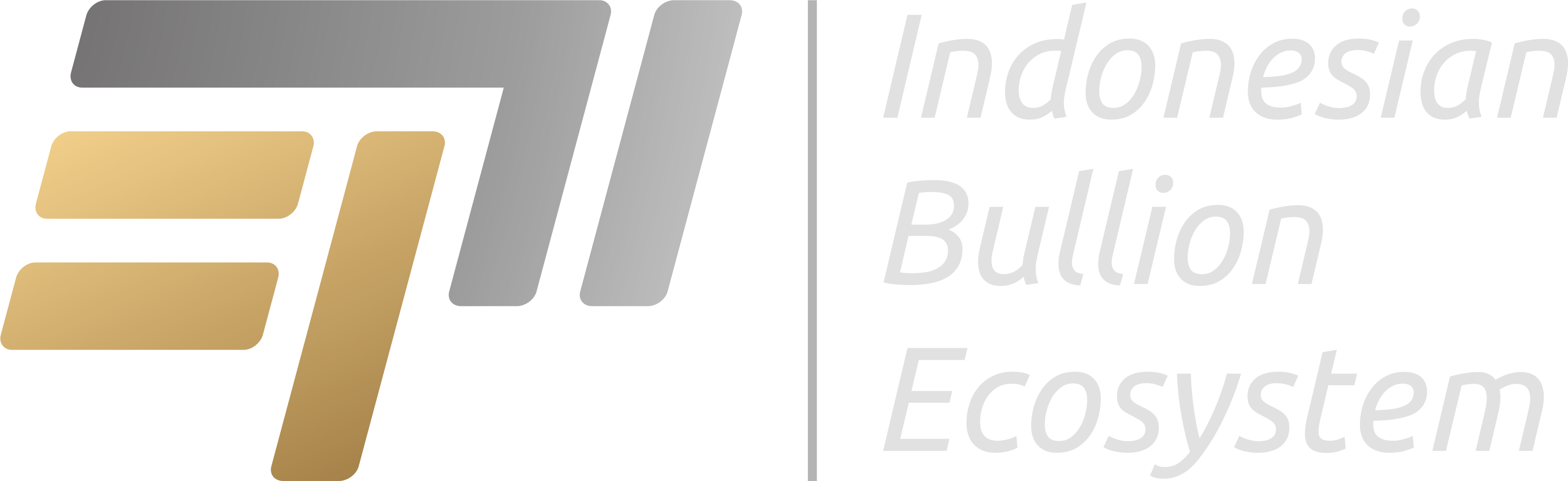 Logo EPI